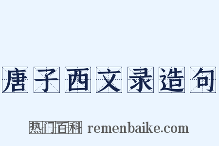 唐子西文录造句是什么意思的图片